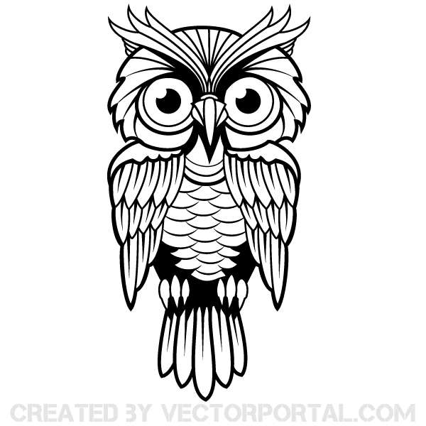 Owl org